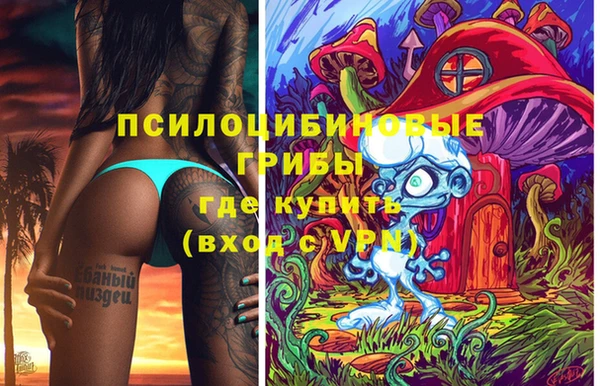 тгк Алзамай