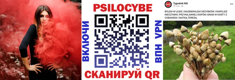 Псилоцибиновые грибы мухоморы  KRAKEN маркетплейс  Одинцово 