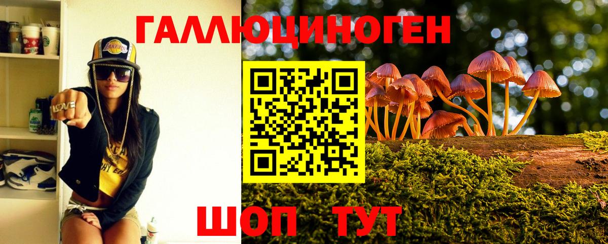 Галлюциногенные грибы Cubensis Одинцово