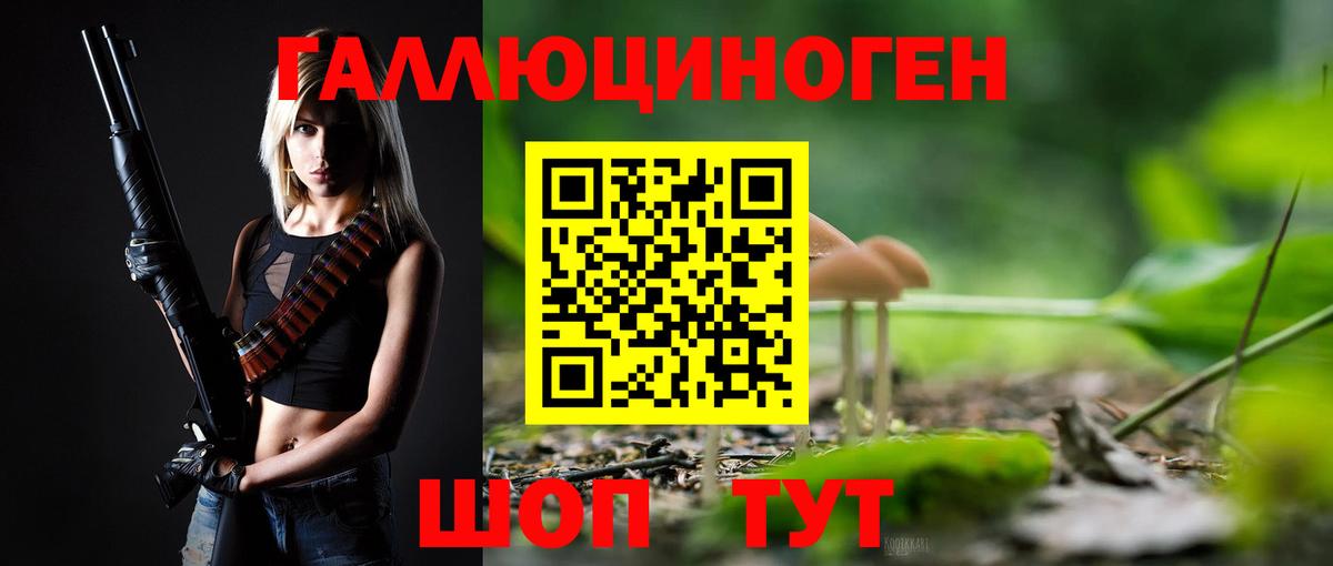 Одинцово  где найти   Вход с VPN  Галлюциногенные грибы Cubensis 